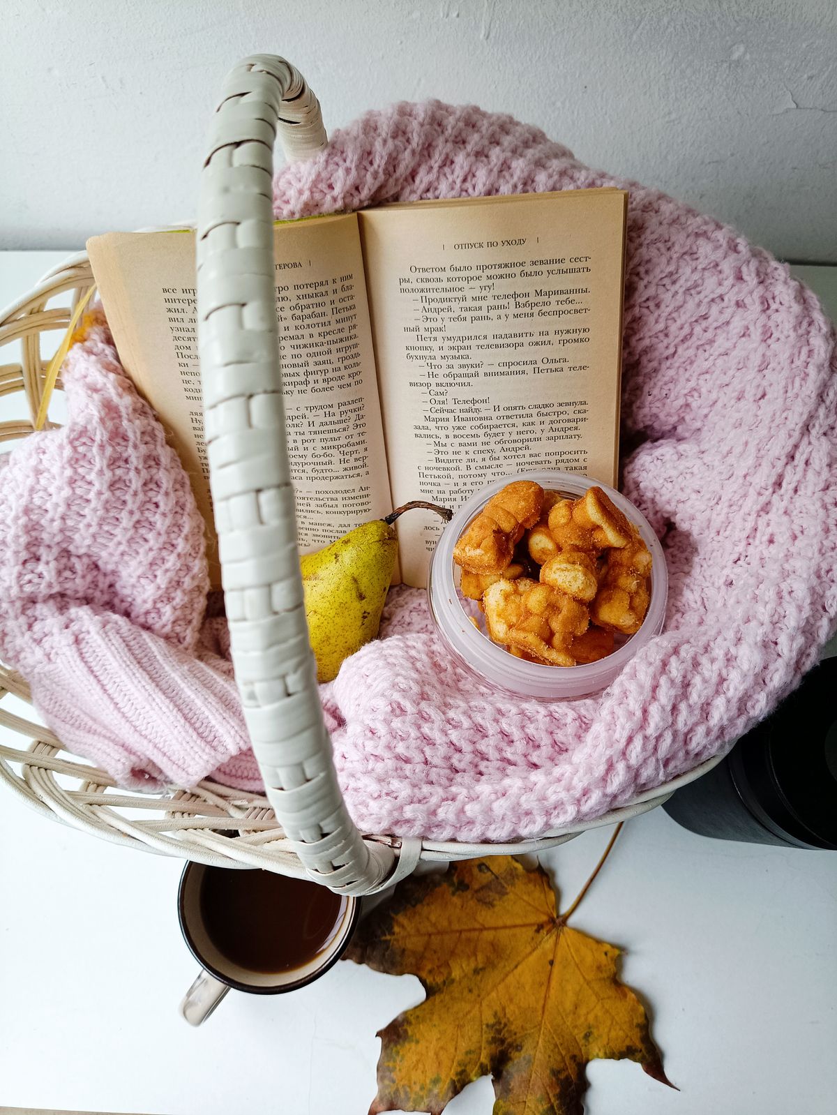 A cozy autumn-themed scene with a book, snacks, and tea on a knit blanket. Stock Photo.