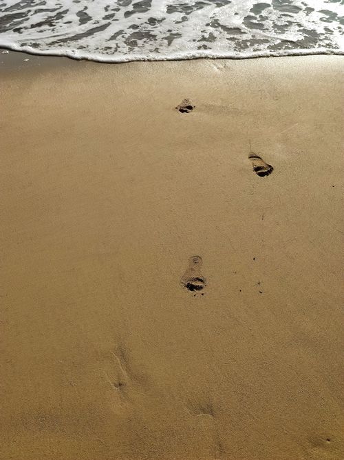 Free Footprints in wet sand approaching the shore, evoking a sense of journey and peace. Stock Photo