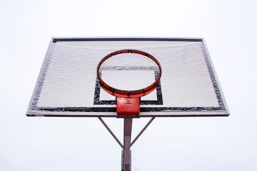 A snow-covered basketball hoop against a clear winter sky in Lithuania.