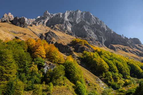 Free Majestic view of Shar Mountain with vibrant fall foliage in North Macedonia. Stock Photo