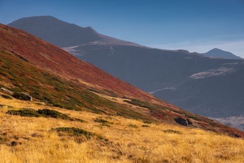 Free Explore the vibrant autumn hues of Shar Mountain in North Macedonia's Tetovo region. Stock Photo