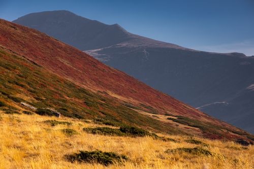 Free Golden hues and rugged peaks in North Macedonia's Shar Mountain during autumn. Stock Photo