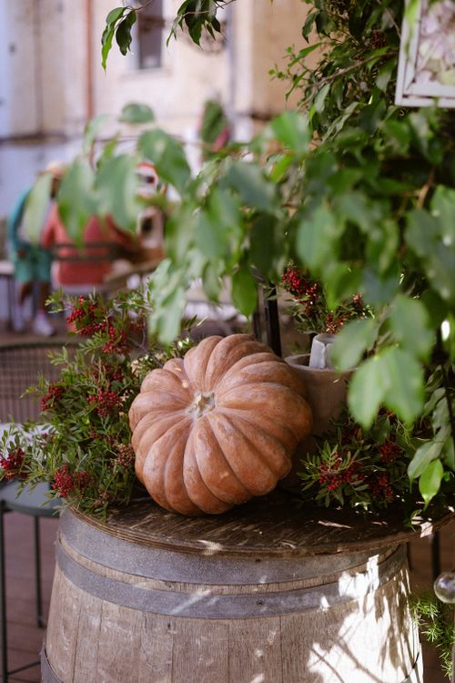Free A beautiful pumpkin on a barrel amidst greenery in an Italian garden setting. Stock Photo