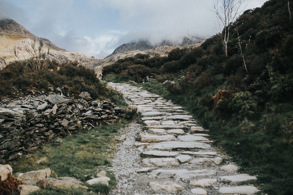 A Rocky Pathway · Free Stock Photo