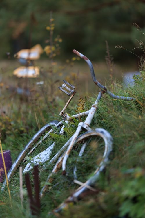 Free A rusty vintage bicycle lies abandoned in lush overgrown grass, evoking nostalgia. Stock Photo