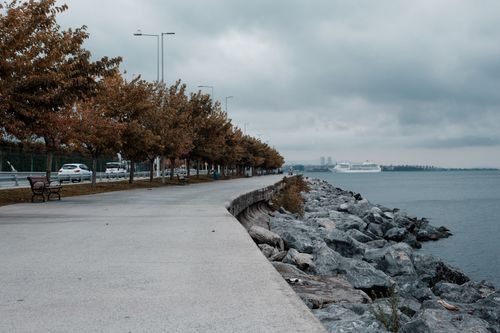 Free A serene waterfront walkway lined with autumn trees, adjacent to rocky shoreline. Stock Photo