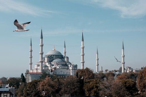Free A view of the iconic Blue Mosque in Istanbul, showcasing its stunning architecture with seagulls flying over. Stock Photo