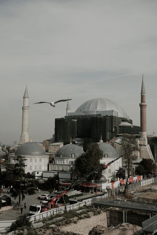 Free Hagia Sophia in Istanbul with a bird flying overhead, cloudy sky. Stock Photo