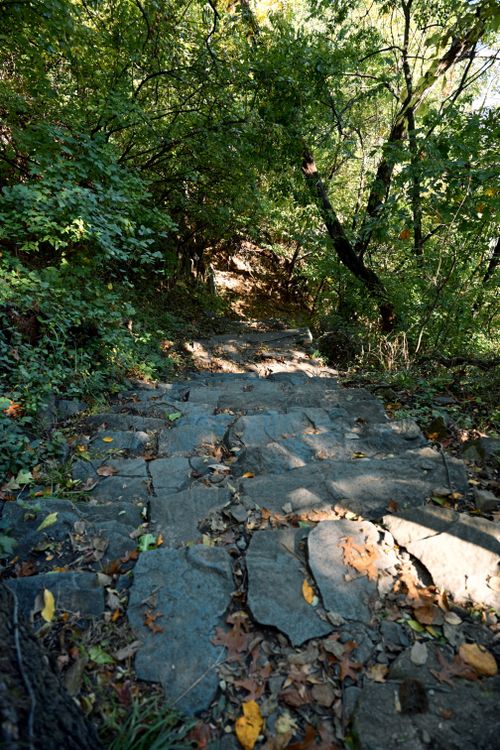 Free Beautiful stone pathway through a lush green forest captures the essence of early fall. Stock Photo