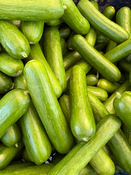 Free stock photo of cucumbers Stock Photo