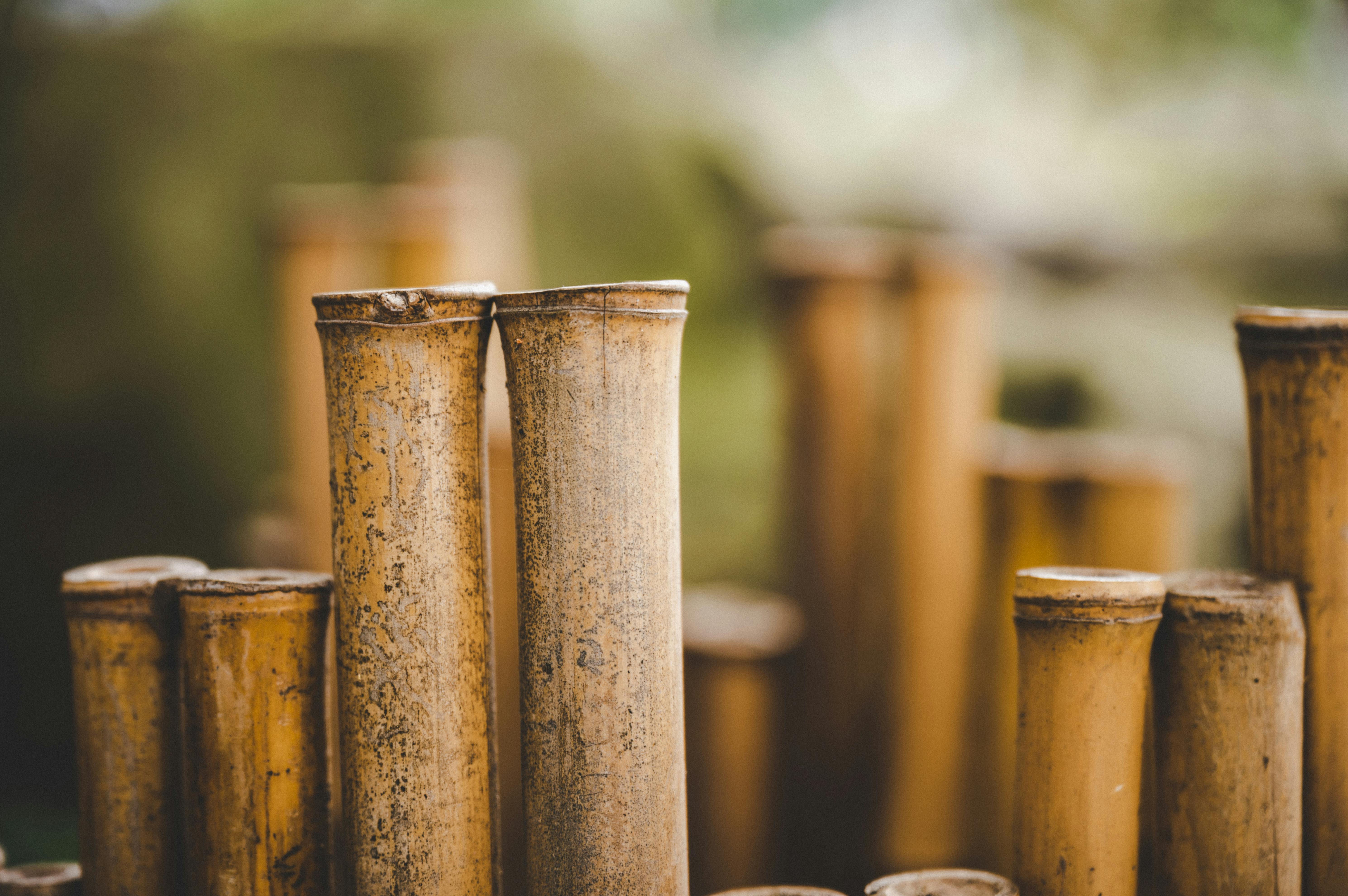 Several pieces on dry bamboo used for construction · Free Stock Photo