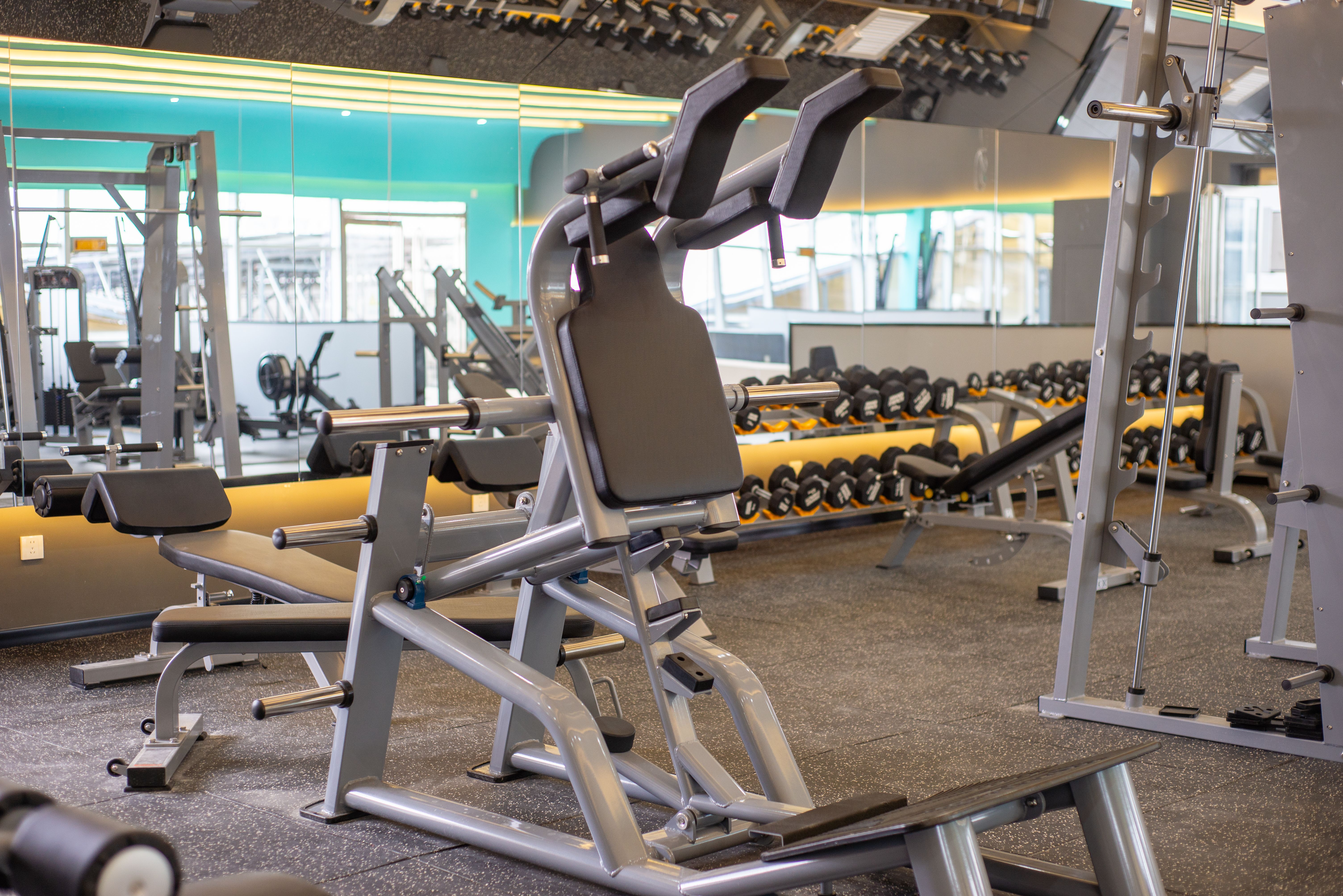 Plate loaded machines and racks in a gym hall