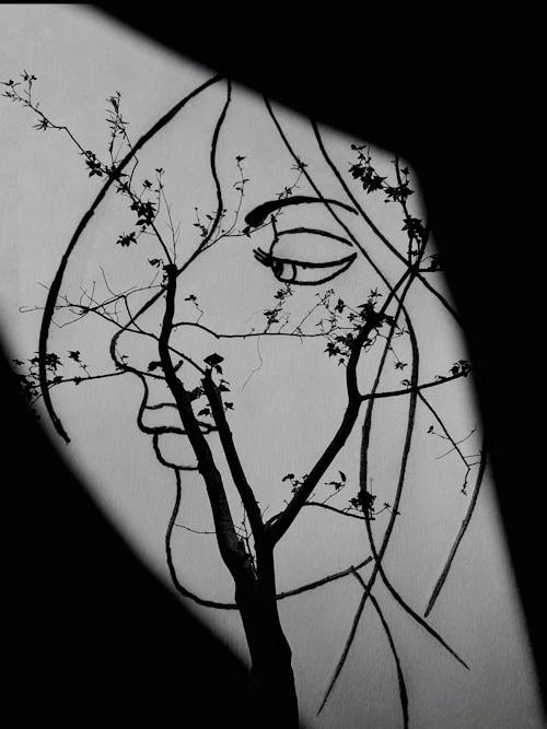 Free Grayscale Photo of Tree Branches Forming a Woman's Face Stock Photo