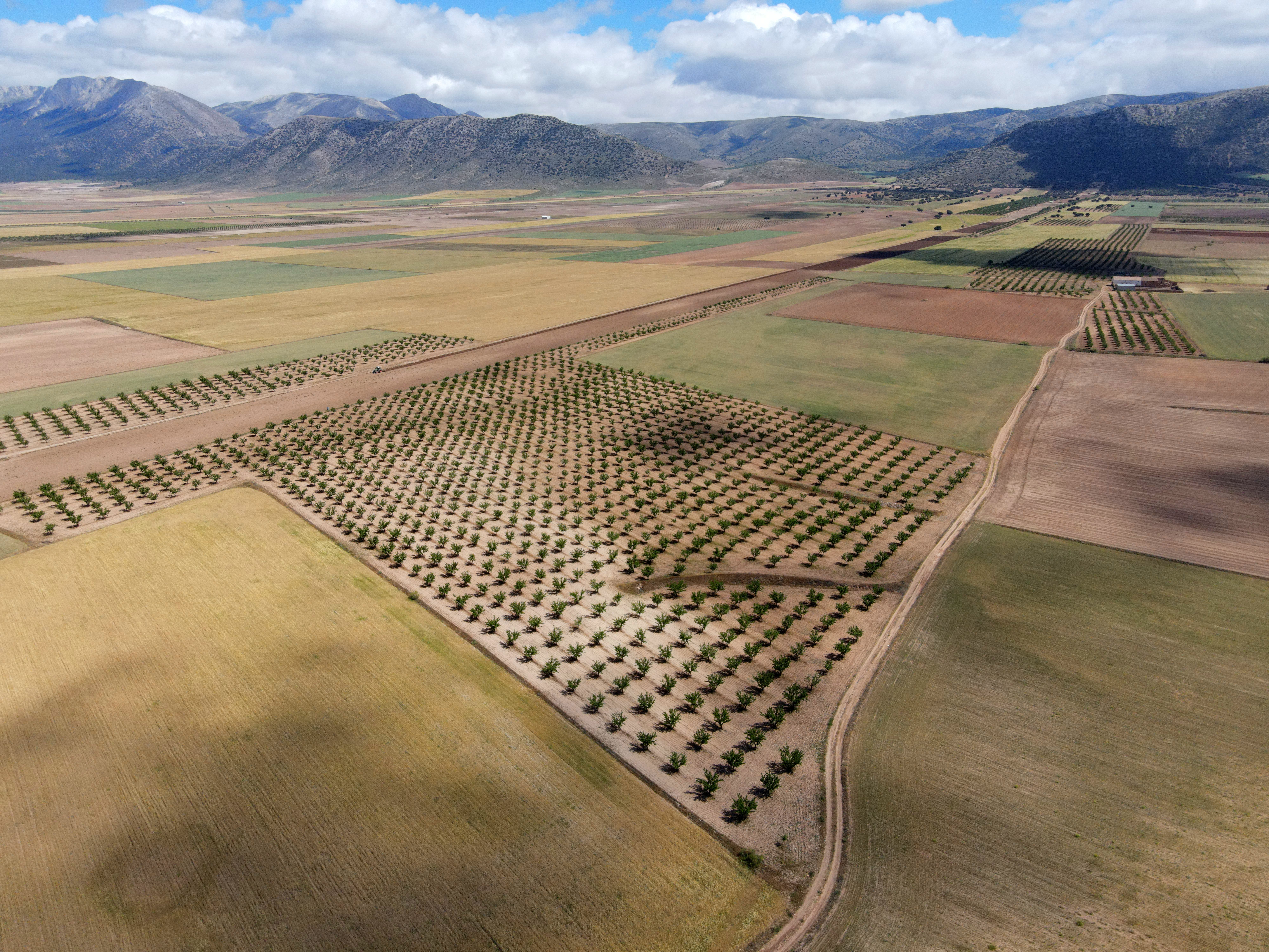 Stunning aerial photography featuring vast agricultural fields and a scenic mountain backdrop under a bright sky.