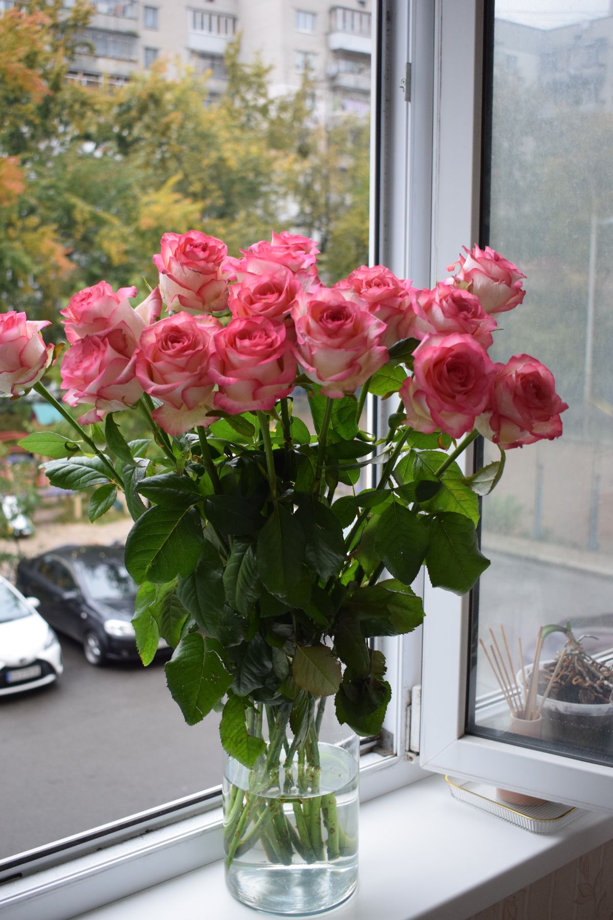 Beautiful bouquet of pink roses in a glass vase by an open window. Stock Photo.