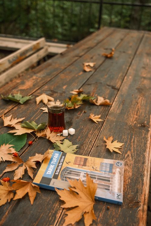 Free A cozy outdoor scene with autumn leaves, tea, and a book on a rustic wooden table. Stock Photo