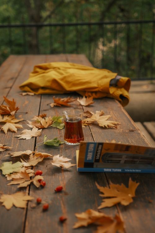 Free Cozy outdoor autumn setting with tea and a book on a table covered in fallen leaves. Stock Photo
