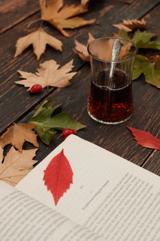 Warm autumnal scene featuring a book, tea, and fall leaves on a rustic table.