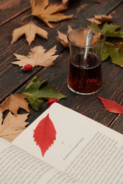 Free Warm autumnal scene featuring a book, tea, and fall leaves on a rustic table. Stock Photo
