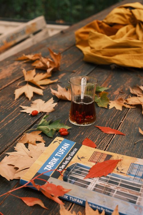 Free Warm autumn scene featuring a book, tea, and leaves on a rustic table. Stock Photo