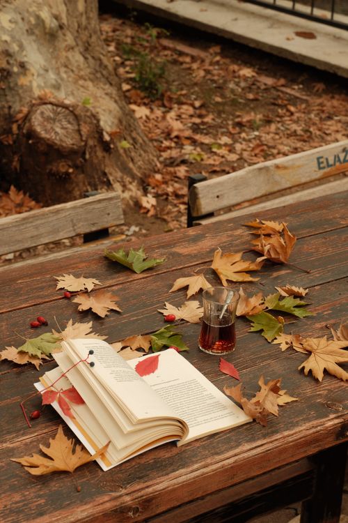Free Cozy autumn scene with an open book and tea on a table surrounded by fallen leaves. Stock Photo