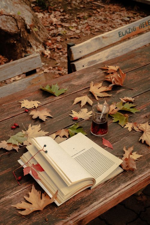 Free Open book and tea on a wooden table with autumn leaves creating a cozy outdoor scene. Stock Photo