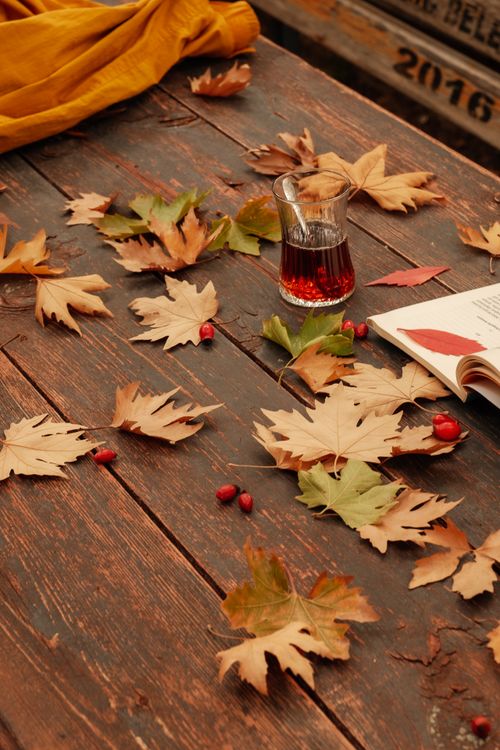 Free Warm autumn scene with tea, leaves, and berries on rustic wooden table. Perfect for fall season ambiance. Stock Photo