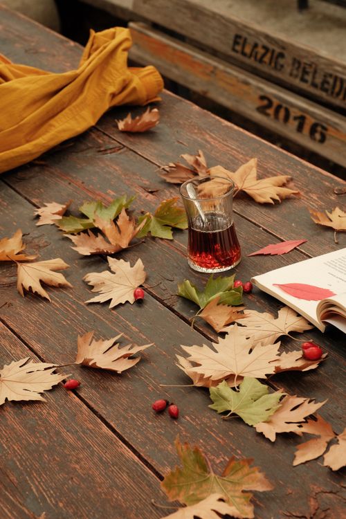 Free A cozy autumn scene with tea leaves on a rustic wooden table, setting a warm mood. Stock Photo