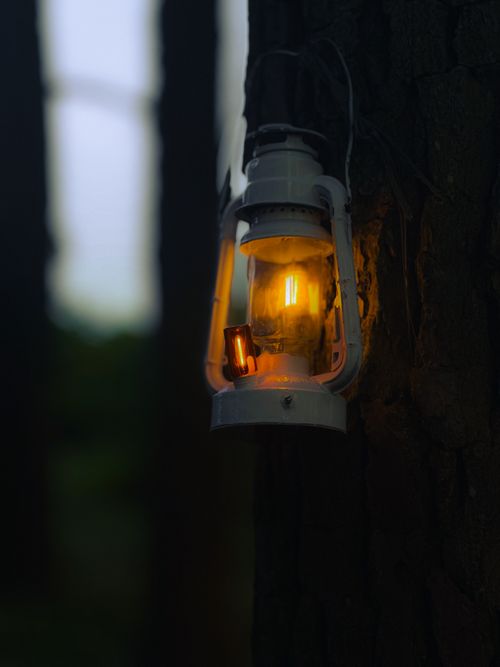 Free A vintage lantern attached to a tree casts a warm glow in the dark outdoor surroundings. Stock Photo