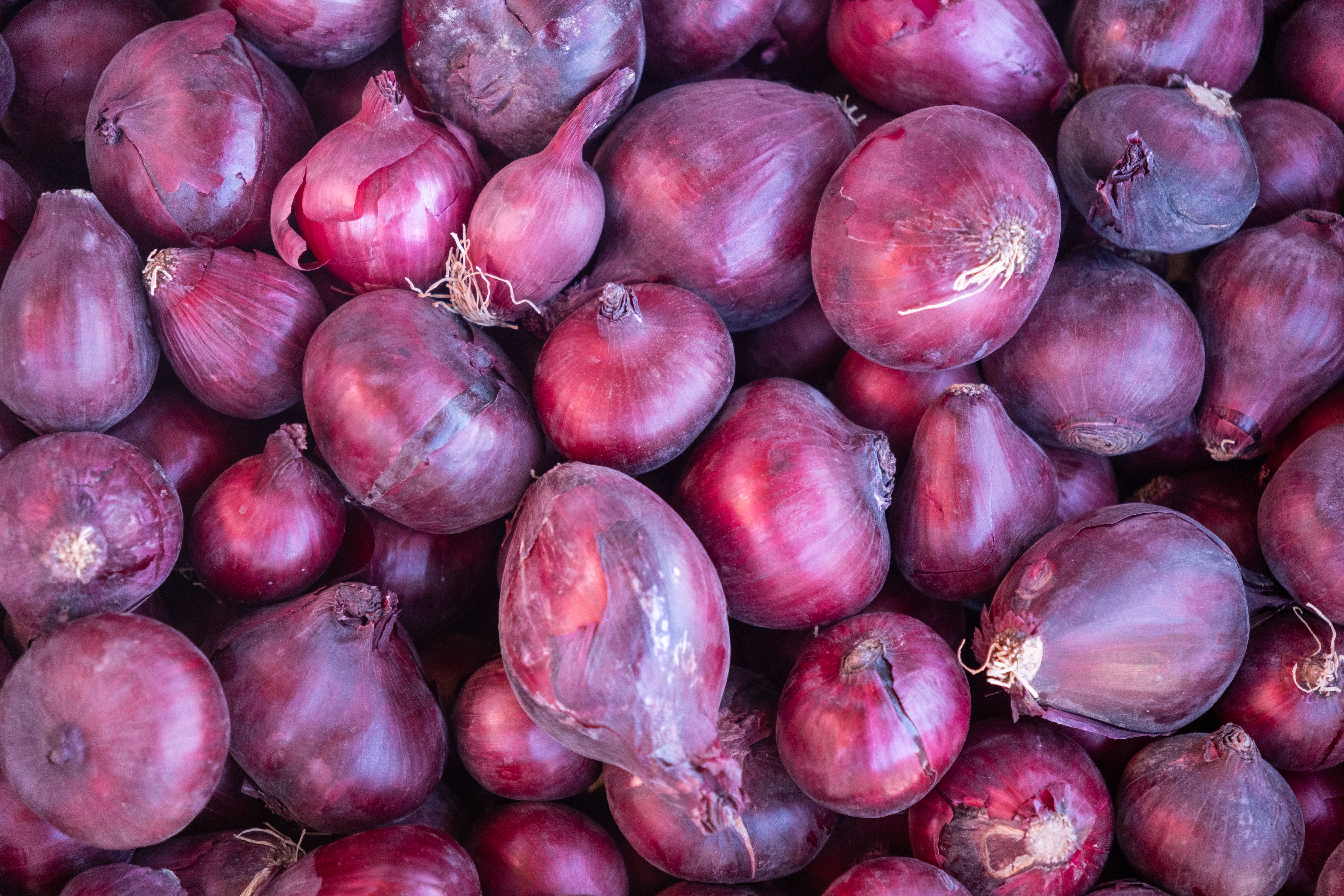 Cebola Nacional (kg)
