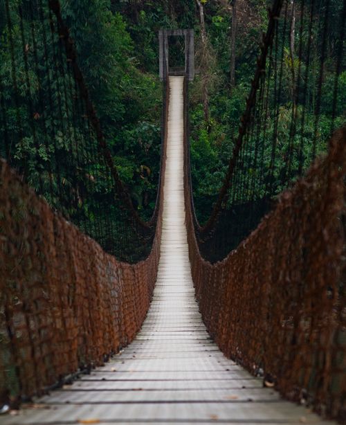 Free A stunning suspension bridge in the lush jungle of Arunachal Pradesh, India. Stock Photo