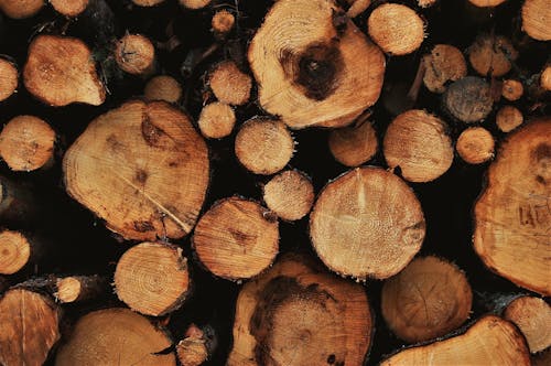 Free stock photo of logs, sweden, timber