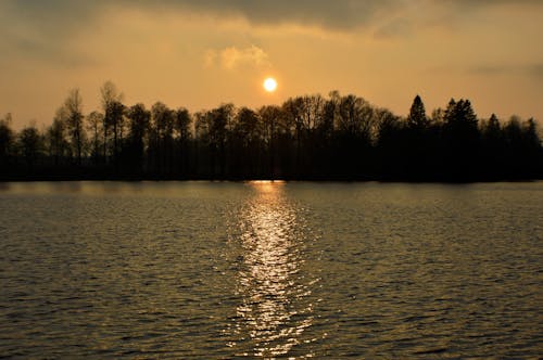 Бесплатное стоковое фото с sunlights, вода, дерево