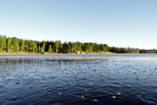 Free stock photo of landscape, nature, water, forest