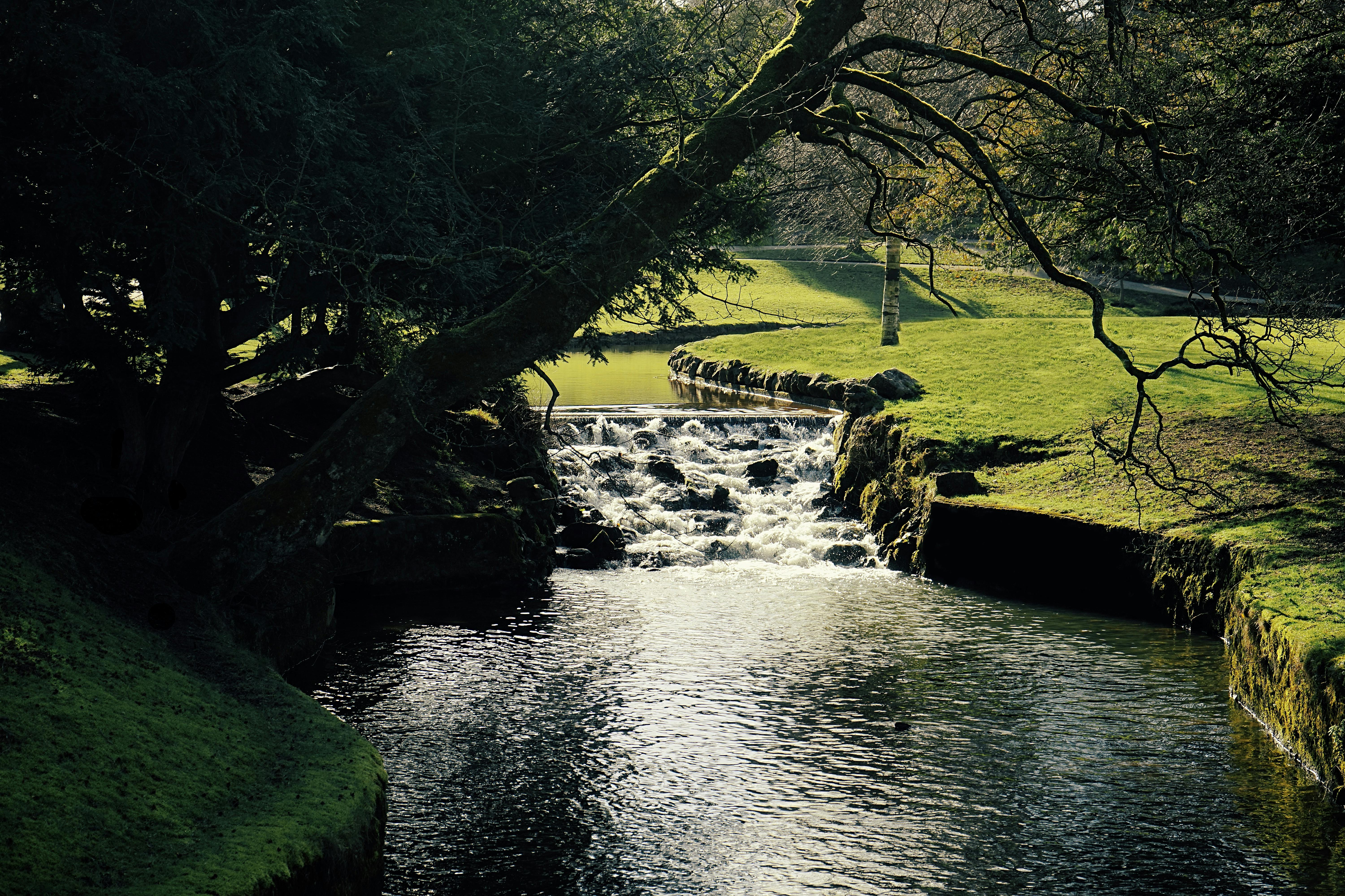 Peaceful river and woodland scene in Buxton, England with flowing water, ideal for nature photography.