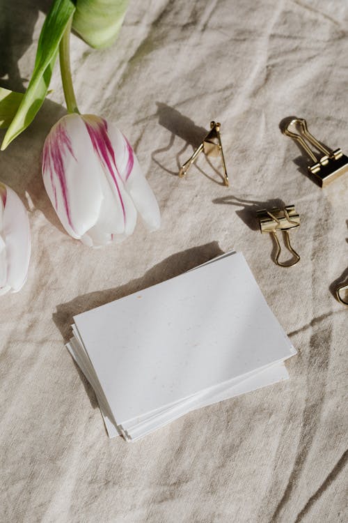 Photo Of Paper Clips Near Clear Papers