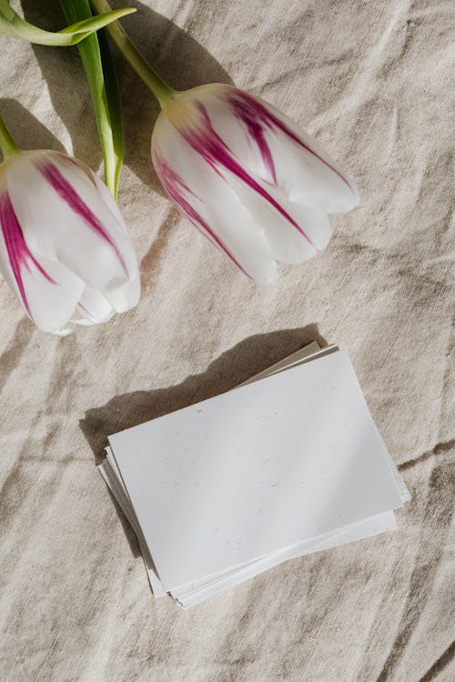 Photo Of Clear Papers Beside Flowers