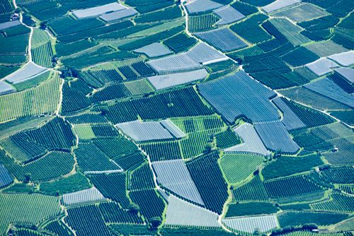 Free Stunning aerial view of geometric fields showcasing modern agriculture's beauty and efficiency. Stock Photo