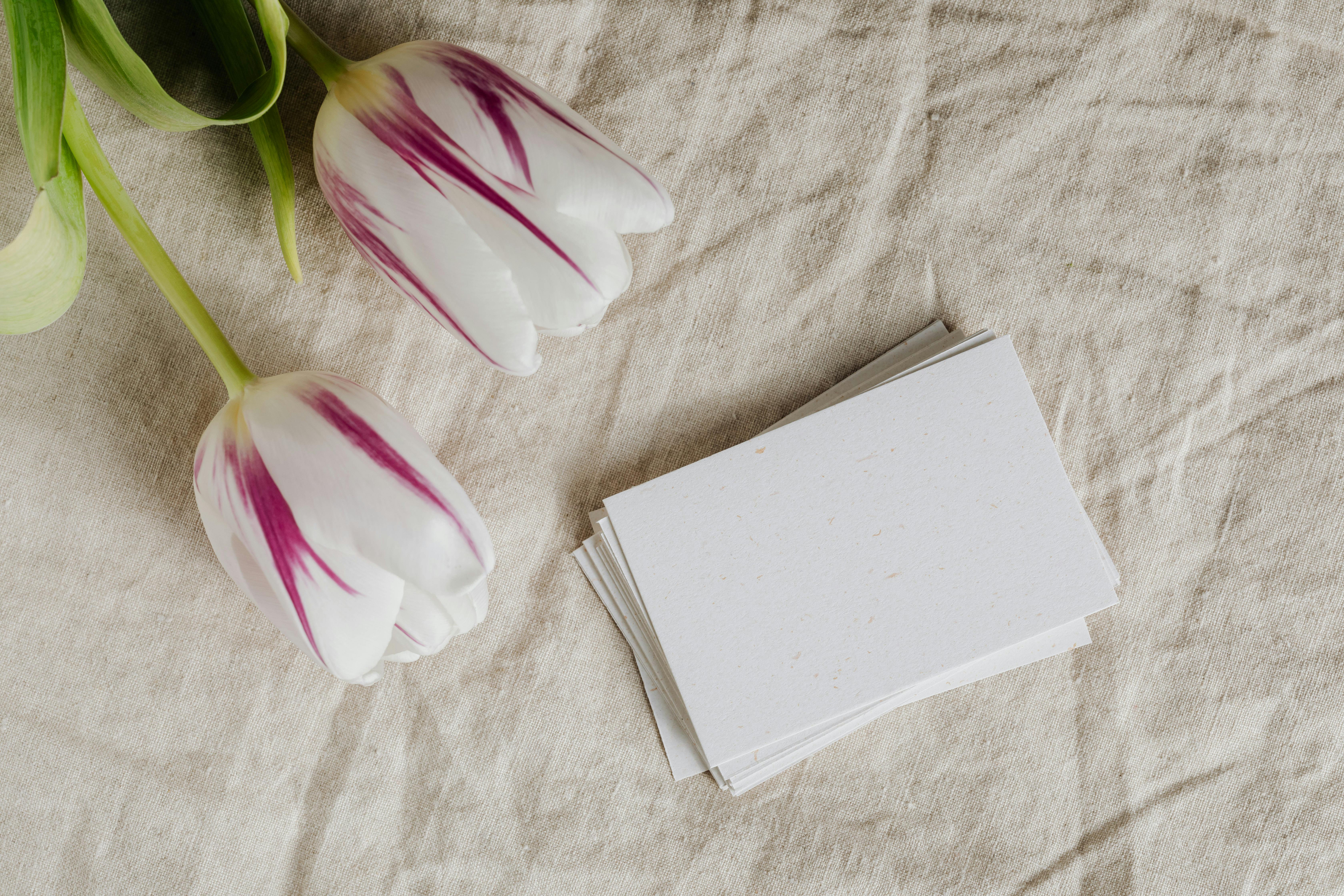 精致的紫色和白色郁金香放在柔软的亚麻织物上，旁边有一堆空白卡片