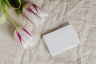 精致的紫色和白色郁金香放在柔软的亚麻织物上，旁边有一堆空白卡片