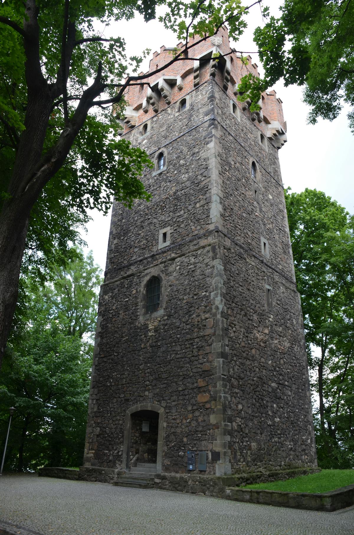 Cooked quinoa and lentils in saucepans on a stovetop