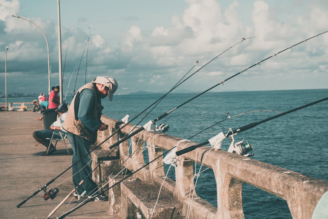 無料 フェンスの釣り竿 写真素材