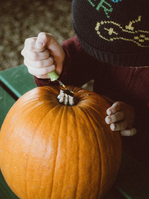 Free A child in a knit hat carves a pumpkin, celebrating autumn and Halloween. Stock Photo