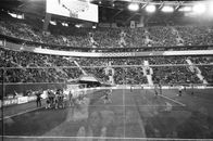 Stadium players celebrating goal during football match