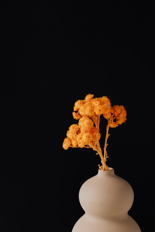 Photo Of Orange Flower On Vase