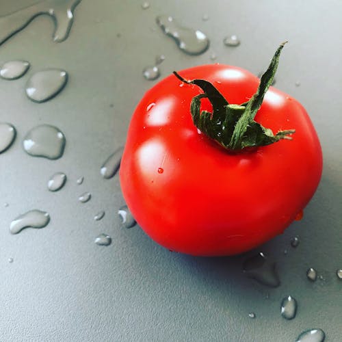 トマトの無料の写真素材
