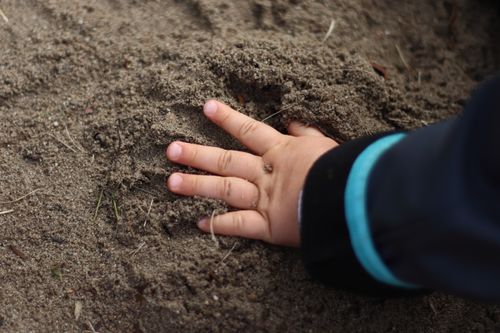 Free A child's hand digging into sand, illustrating playfulness and exploration. Stock Photo