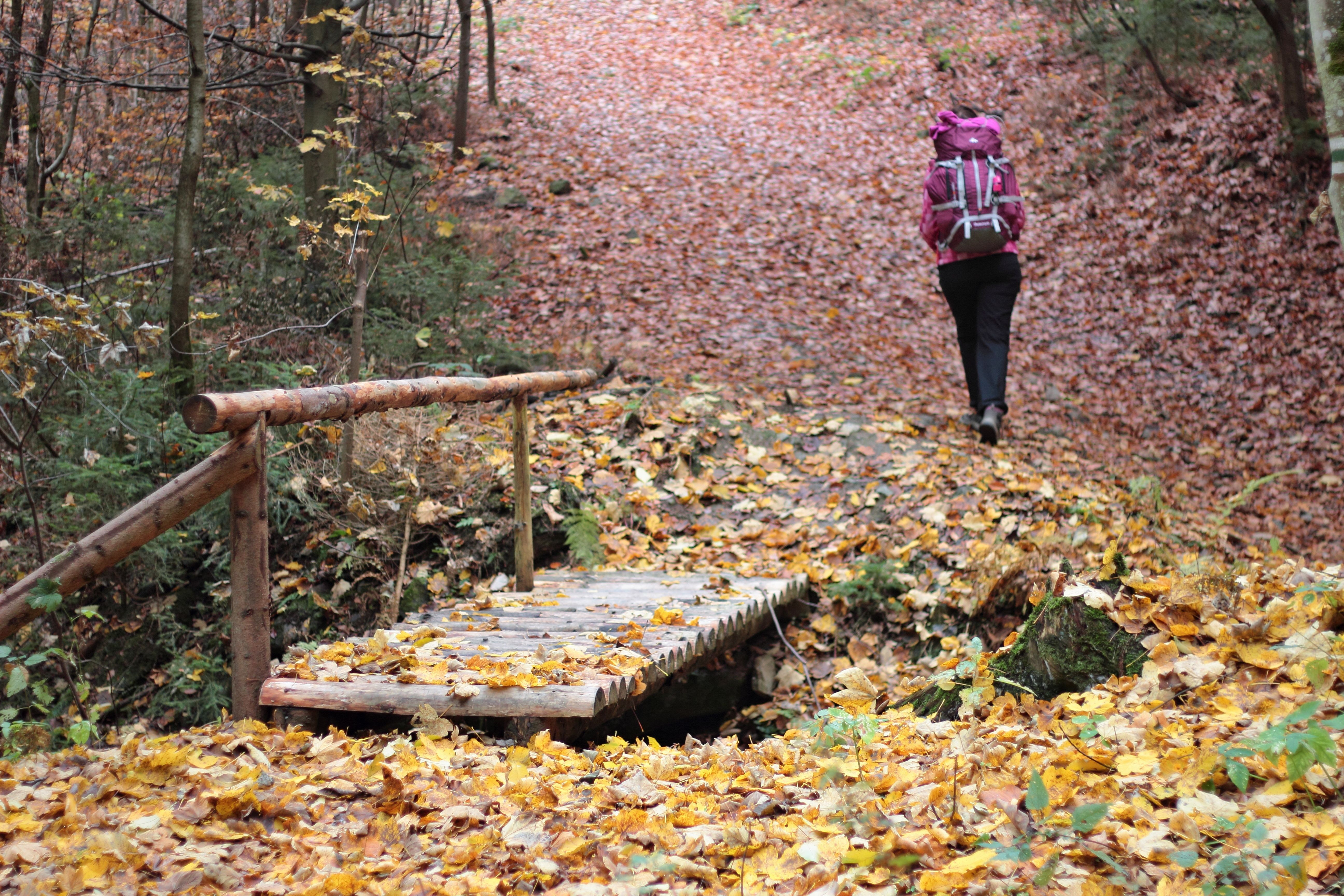 Micro-aventures en nature à l'automne 2026 : se ressourcer sans partir loin