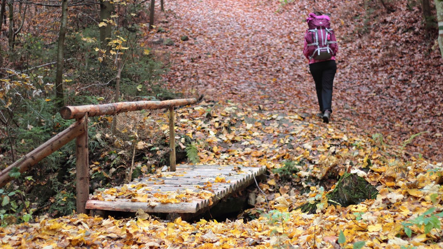 Micro-aventures en nature à l'automne 2026 : se ressourcer sans partir loin
