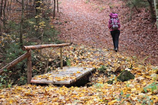 A hiker walks through a scenic autumn forest with colorful fallen leaves and a wooden bridge.